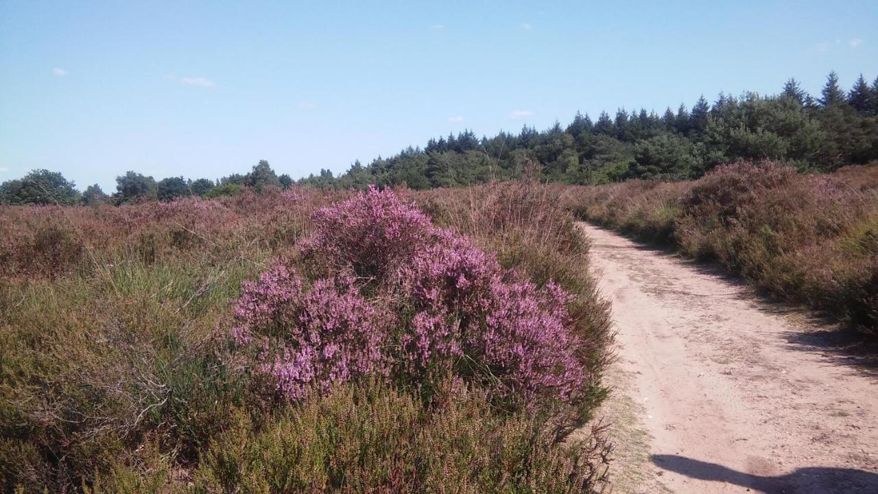 Poort Van De Veluwe Voorthuizen Exteriör bild