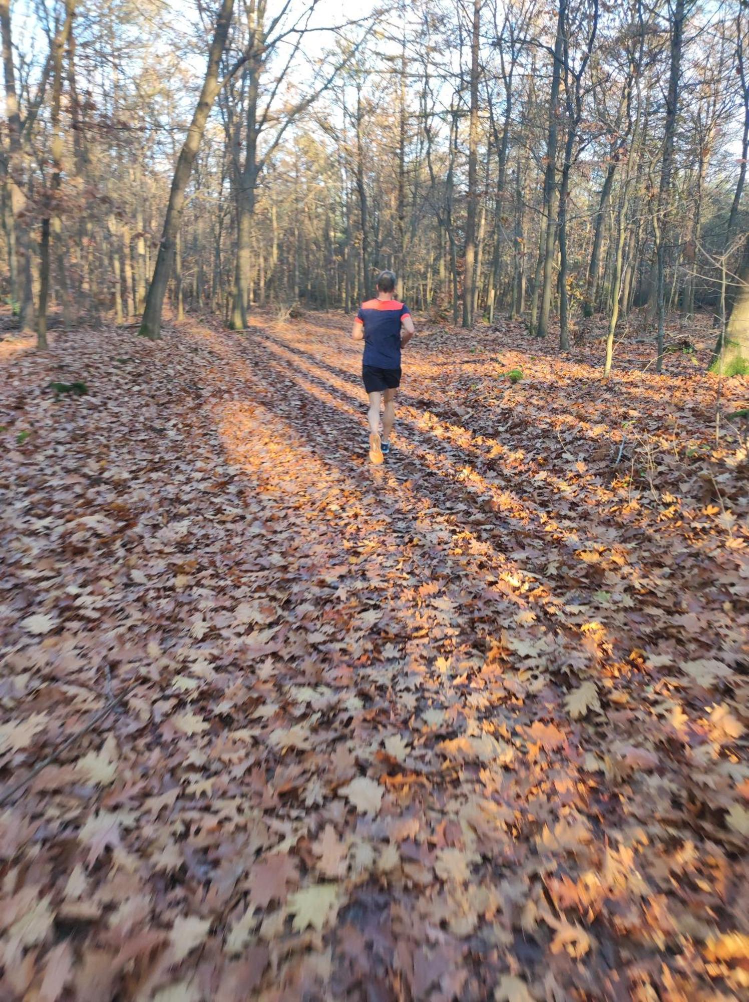 Poort Van De Veluwe Voorthuizen Exteriör bild